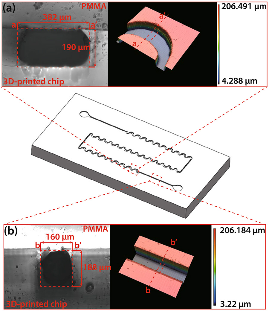 명지대학교 기계시스템공학부 학부생, 국제 저명 학술지 BioChip Journal 제1저자 대표이미지